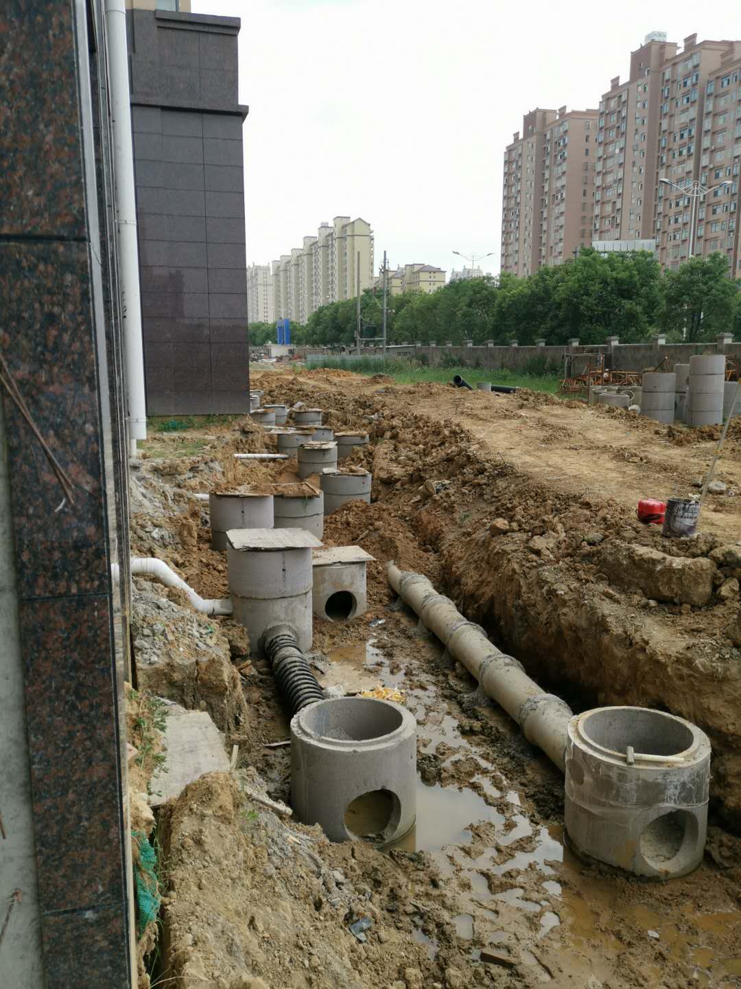 王晓棕